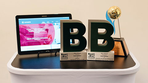 Best in Biz International Best in Biz International
