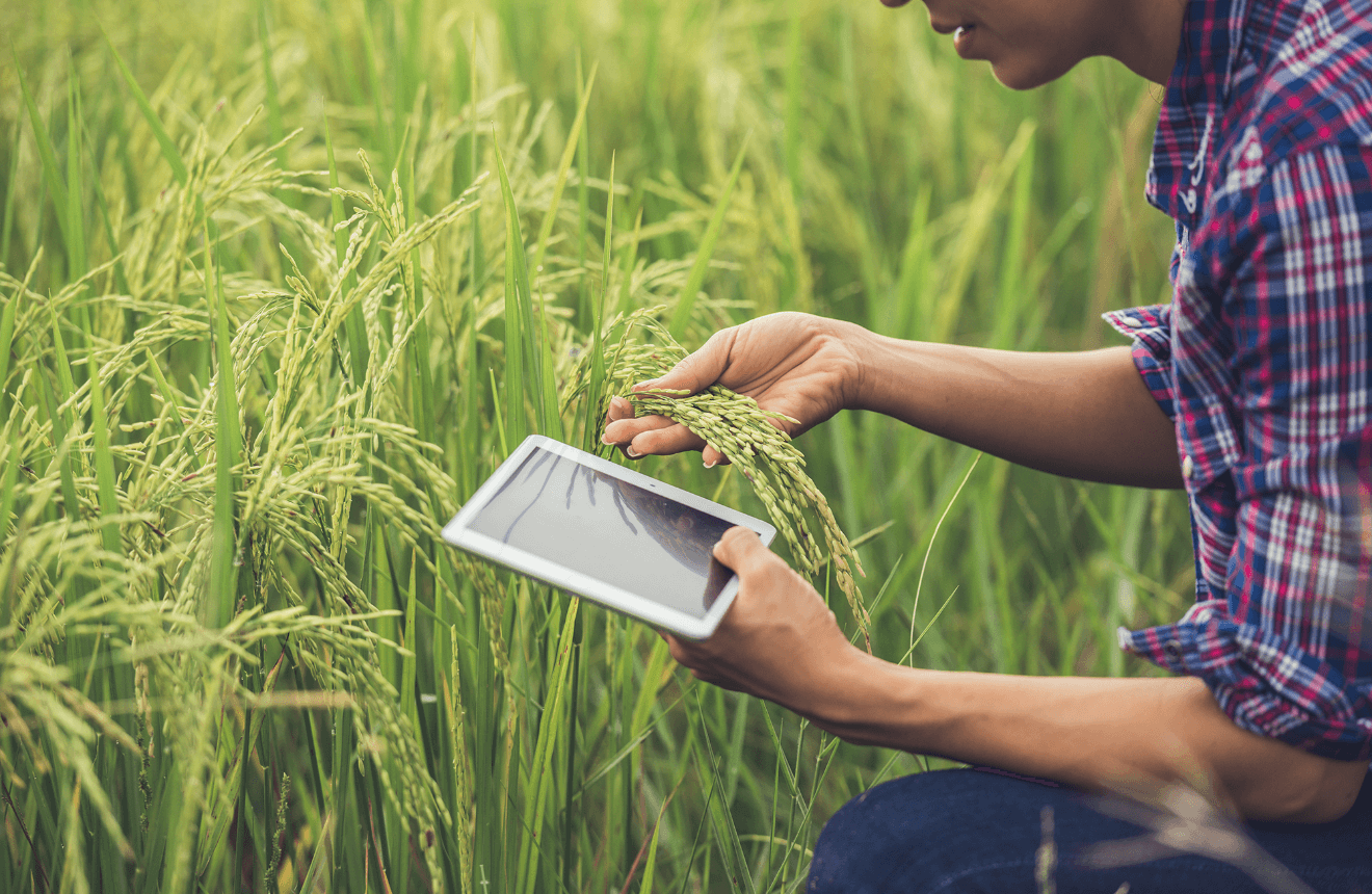 ChemCert Training Group ChemCert Training Group