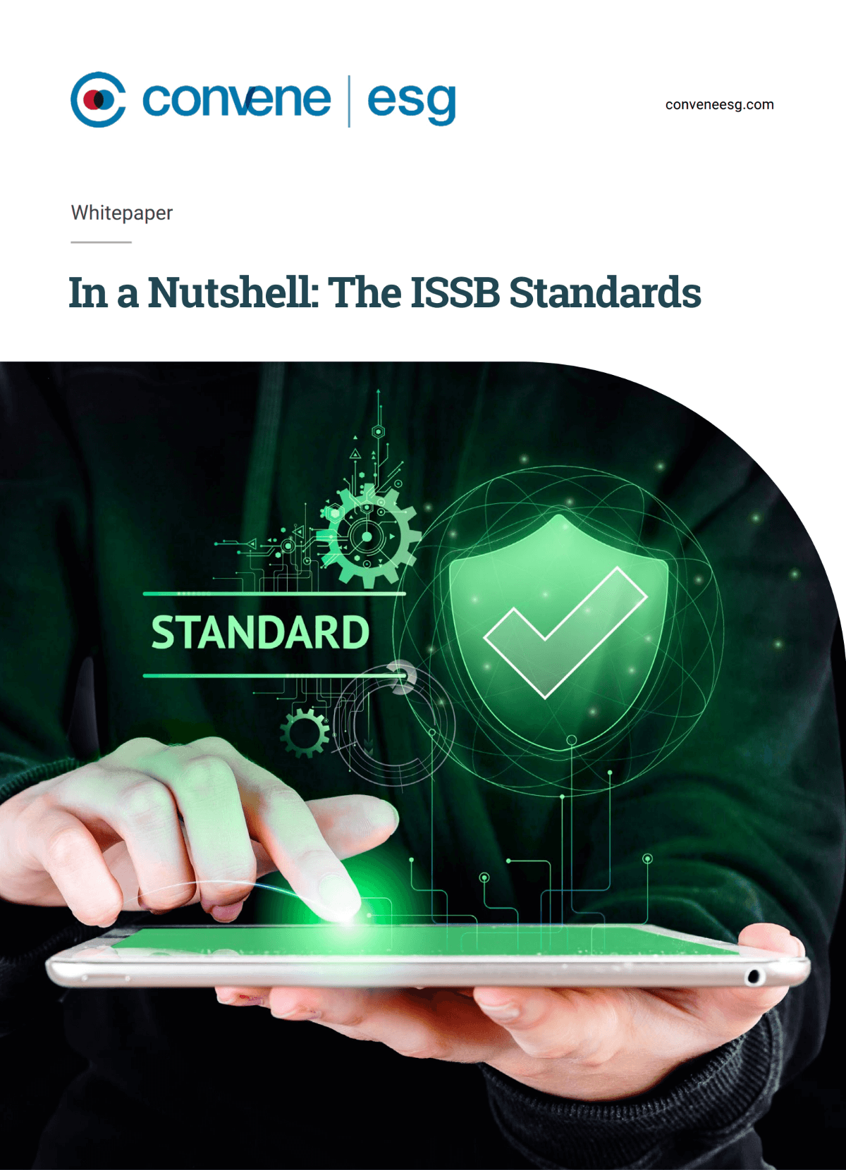 In a Nutshell: The ISSB Standards
