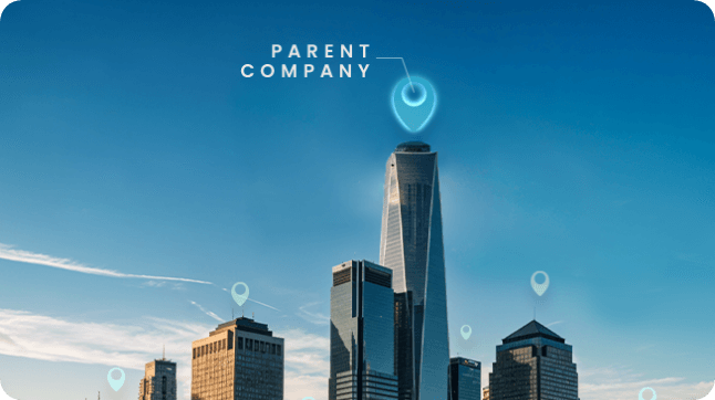 What is a Parent Company: Definition, Examples, and How to Build