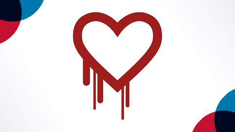 Heartbleed Vulnerability Heartbleed Vulnerability