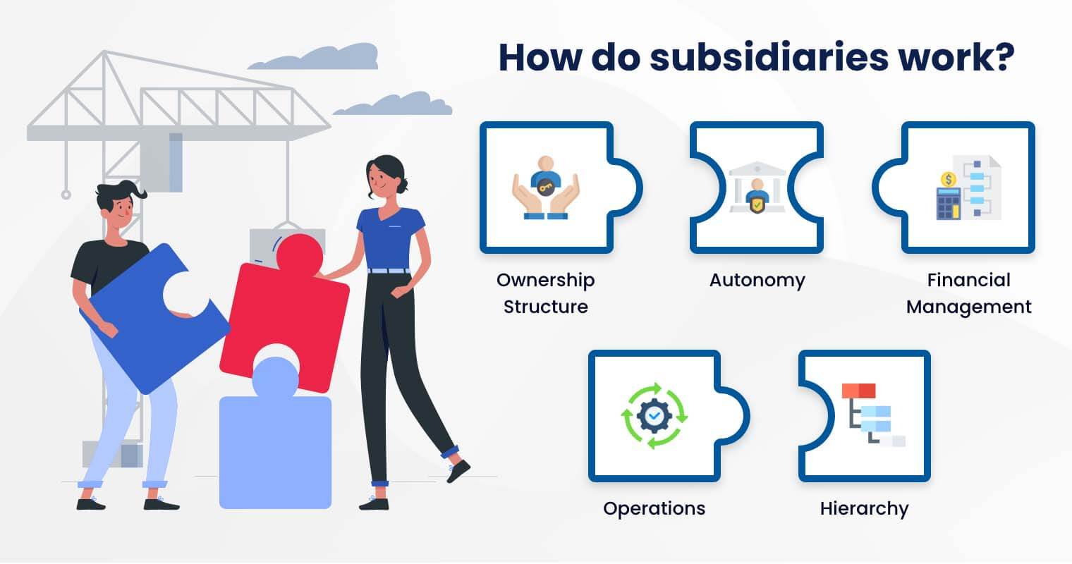 How do subsidiaries work?