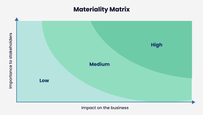 Materiality Matrix sample