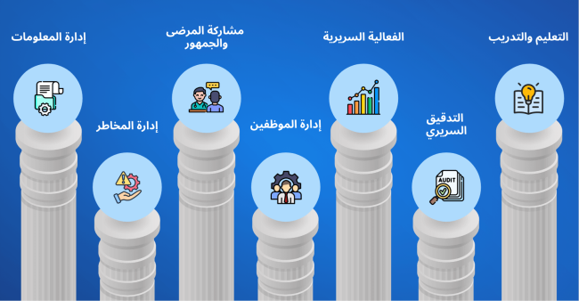 visual-of-7-pillars-of-corporate-governance