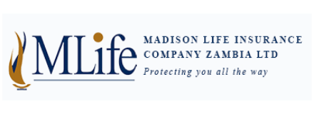 MLIFE logo MLIFE logo