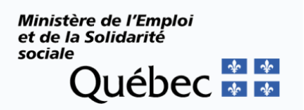 Ministère de l'Emploi et de la Solidarité sociale (MESS) Ministère de l'Emploi et de la Solidarité sociale (MESS)