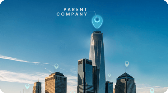 What is a Parent Company: Definition, Examples, and How to Build