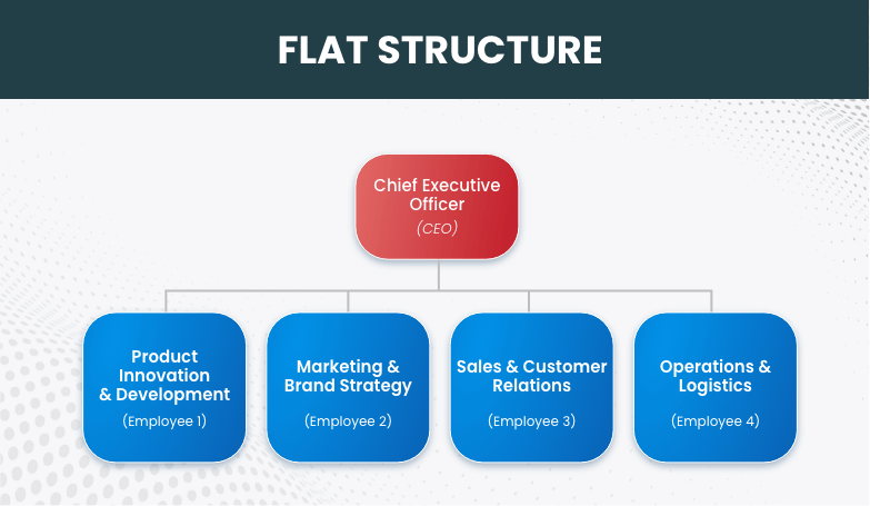 Flat Organizational Structure