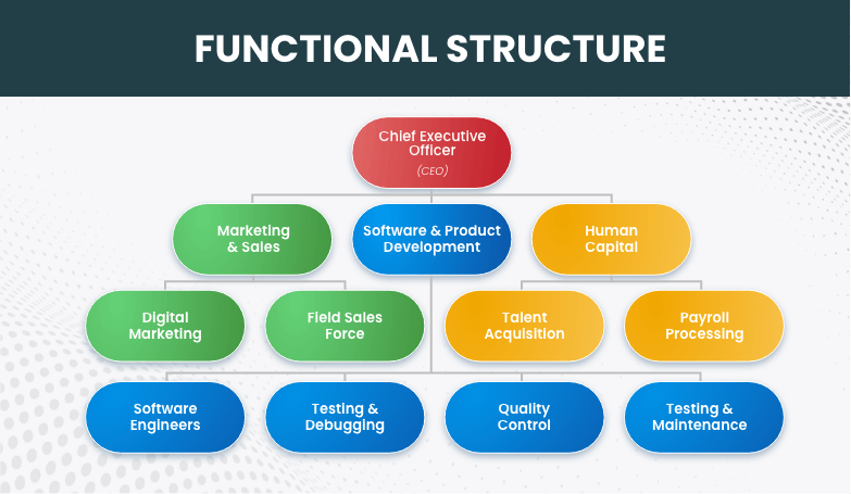 Functional Structure