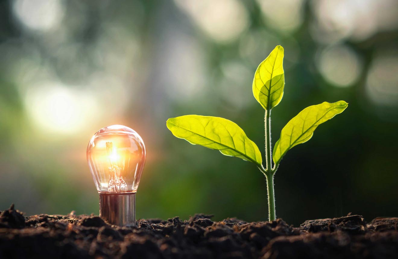 ESG Ratings: Sustainability Performance in the Spotlight