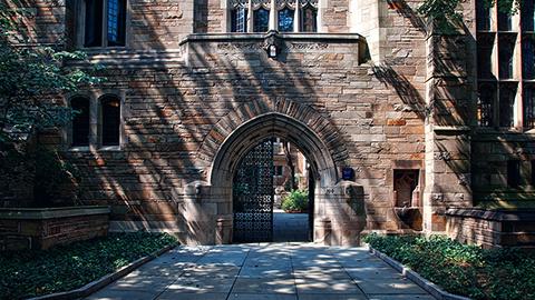 Higher Education Governance