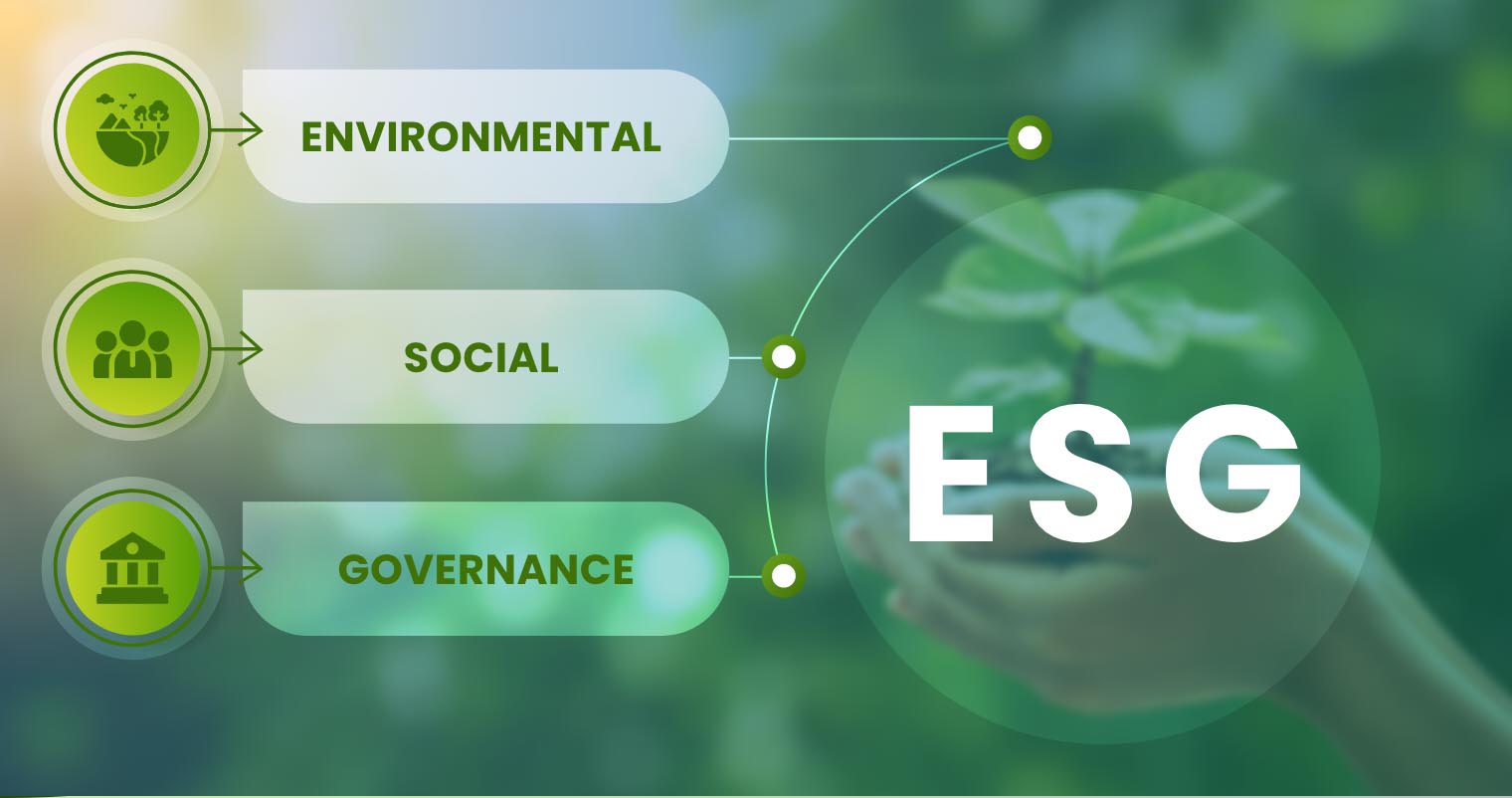 What is ESG Framework?